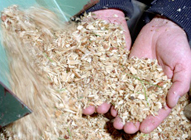 Biomass boiler fuel