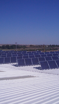 The pre mounted solar panels on the roof top of a building